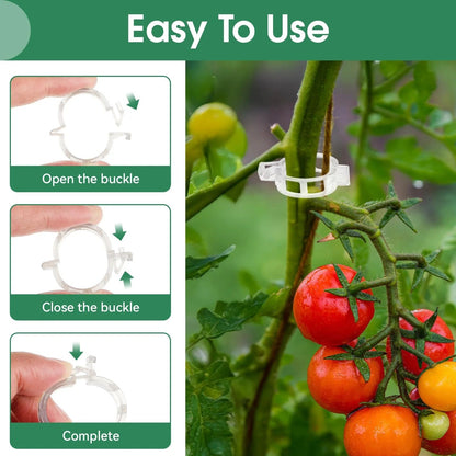 🔥Last Day BUY 1  GET 1 FREE-Each $0.1🔥 Tomato Clips, Plastic Trellis Clips🍅