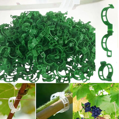 🔥Last Day BUY 1  GET 1 FREE-Each $0.1🔥 Tomato Clips, Plastic Trellis Clips🍅