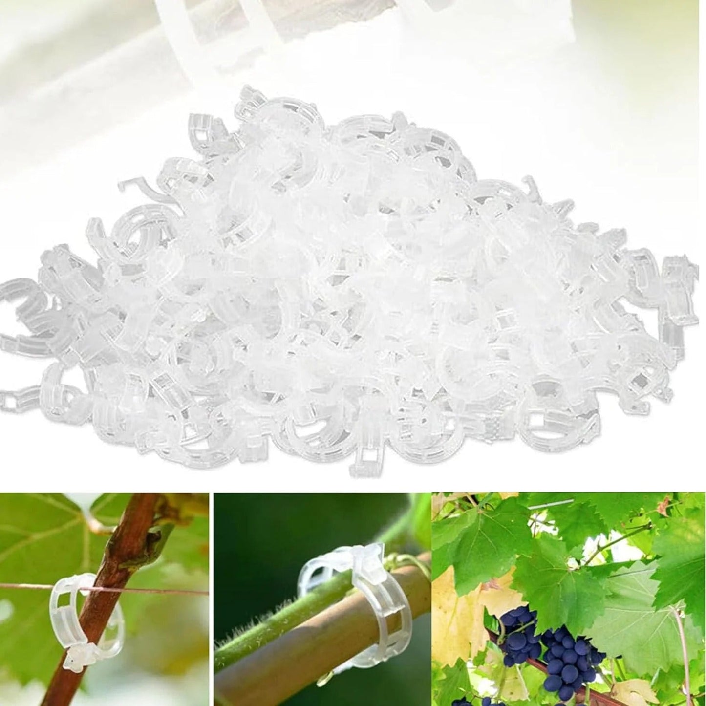 🔥Last Day BUY 1  GET 1 FREE-Each $0.1🔥 Tomato Clips, Plastic Trellis Clips🍅