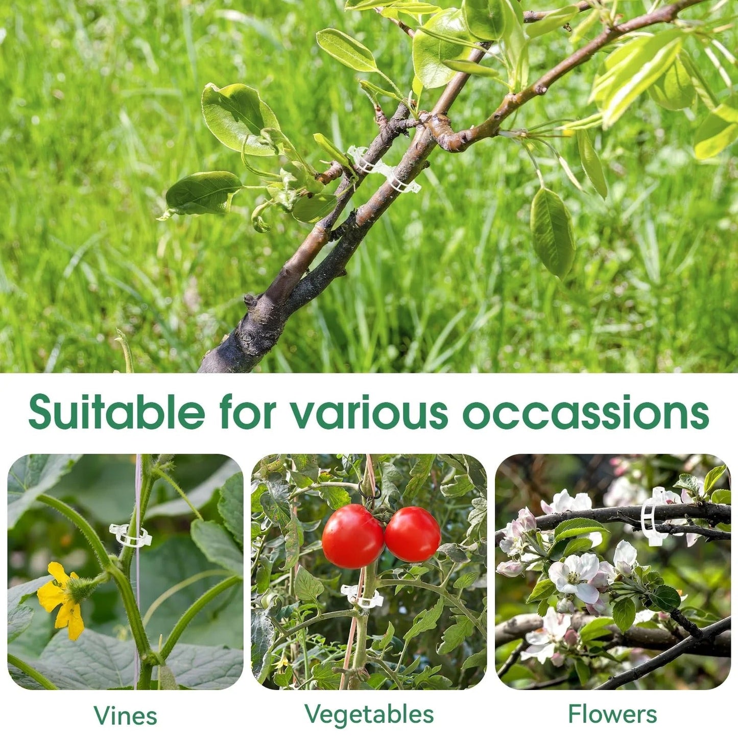 🔥Last Day BUY 1  GET 1 FREE-Each $0.1🔥 Tomato Clips, Plastic Trellis Clips🍅