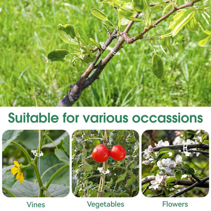 🔥Last Day BUY 1  GET 1 FREE-Each $0.1🔥 Tomato Clips, Plastic Trellis Clips🍅