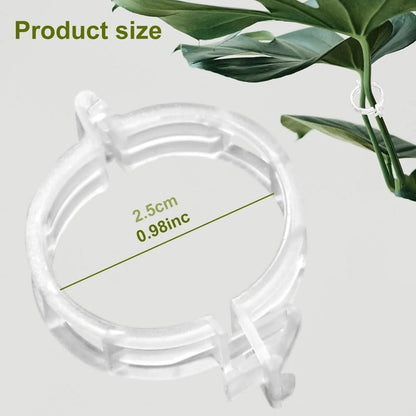 🔥Last Day BUY 1  GET 1 FREE-Each $0.1🔥 Tomato Clips, Plastic Trellis Clips🍅