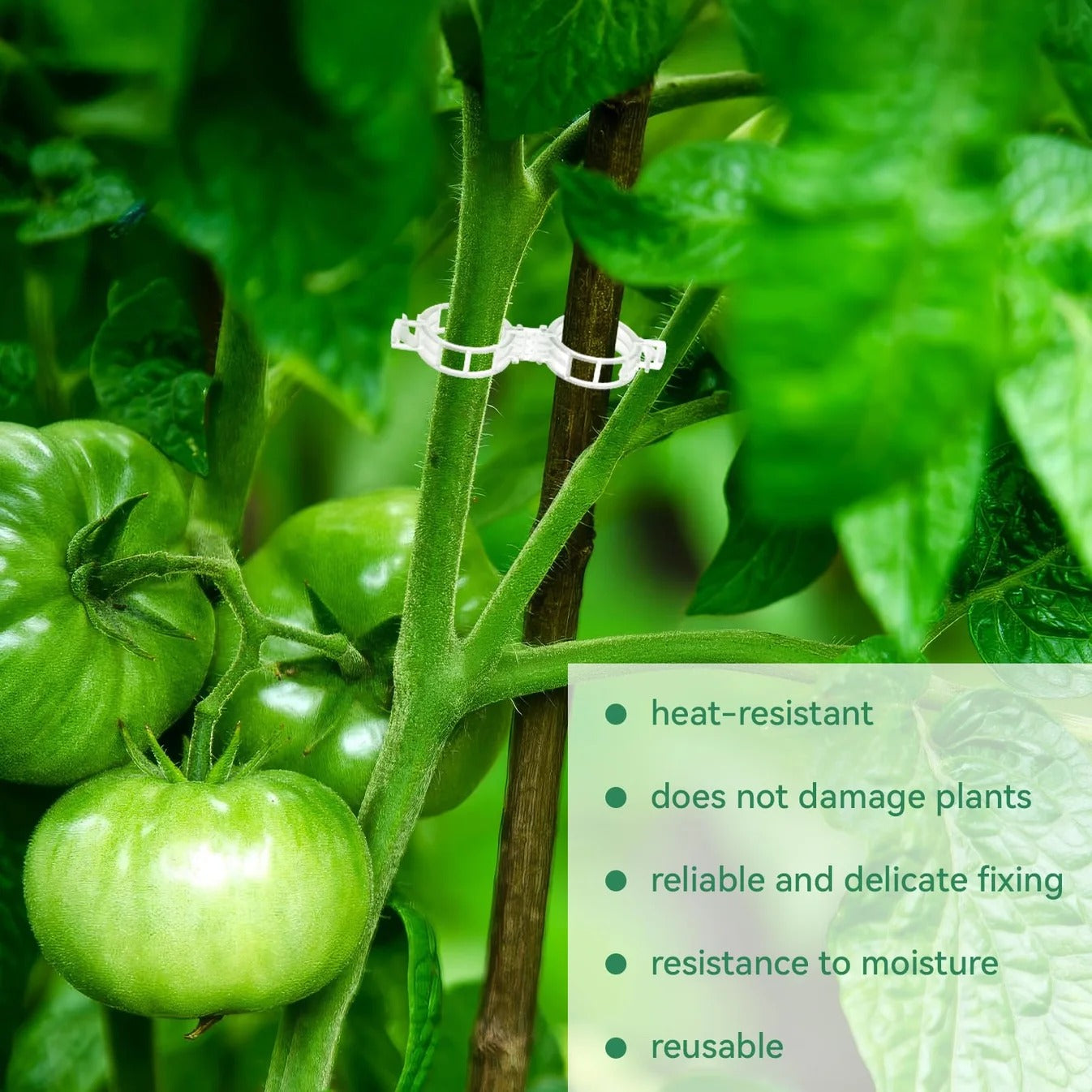🔥Last Day BUY 1  GET 1 FREE-Each $0.1🔥 Tomato Clips, Plastic Trellis Clips🍅