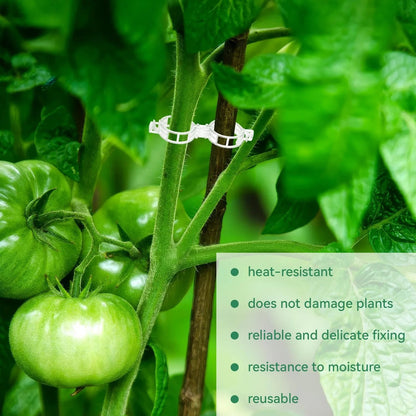 🔥Last Day BUY 1  GET 1 FREE-Each $0.1🔥 Tomato Clips, Plastic Trellis Clips🍅