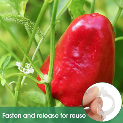 🔥Last Day BUY 1  GET 1 FREE-Each $0.1🔥 Tomato Clips, Plastic Trellis Clips🍅
